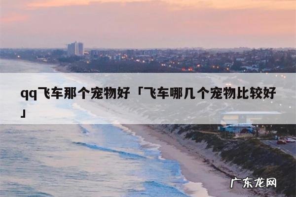 qq飞车那个宠物好「飞车哪几个宠物比较好」