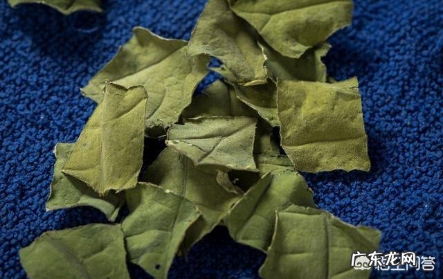 荷叶泡水喝的话有哪些功效呢 绿茶山楂荷叶一起泡水喝的功效