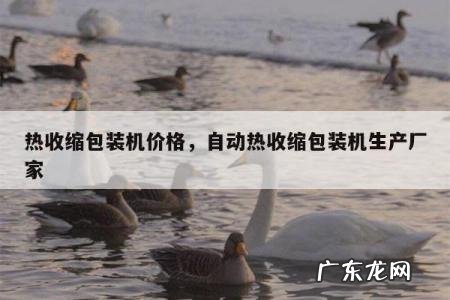 热收缩包装机价格，自动热收缩包装机生产厂家