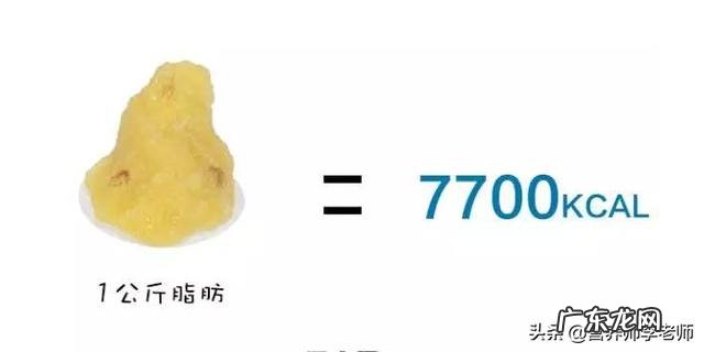 吃枳实和白术能减肥吗有何依据