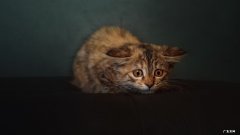 宝宝三个月后体重增长很慢，怎么办