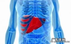 医生说乙肝会“悄悄”变肝癌，要怎么做能预防肝癌的入侵