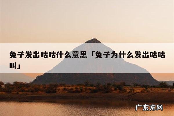 兔子发出咕咕什么意思「兔子为什么发出咕咕叫」
