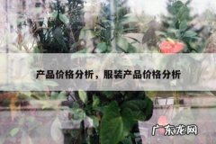产品价格分析，服装产品价格分析