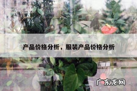 产品价格分析,服装产品价格分析