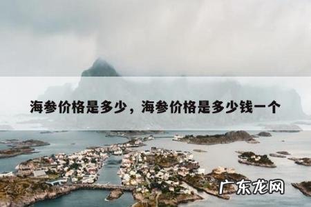 海参价格是多少,海参价格是多少钱一个