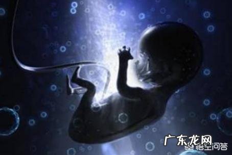 父母上厕所不关门,对于孩子会有什么影响?