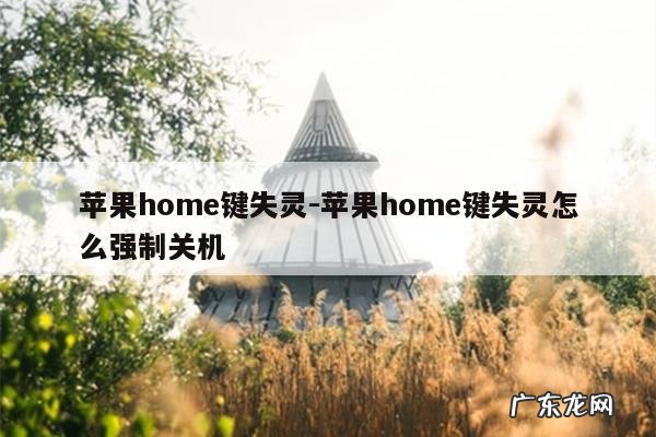 苹果home键失灵-苹果home键失灵怎么强制关机