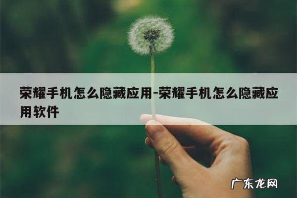 荣耀手机怎么隐藏应用-荣耀手机怎么隐藏应用软件