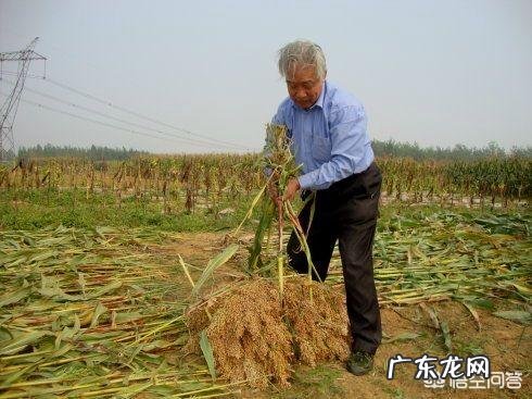 体力劳动能起到锻炼身体的作用吗?