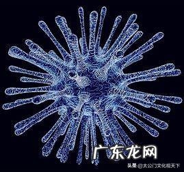 众所周知印度的卫生条件非常差,但为什么印度人并不更容易生病?