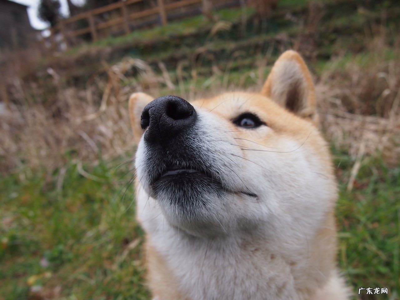 男士可以穿女士打底裤保暖吗