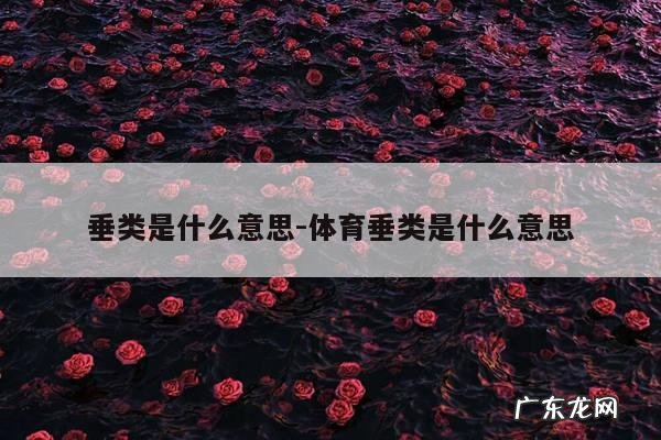 垂类是什么意思-体育垂类是什么意思