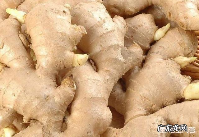 冬天用红花、艾叶、鸡血藤、益母草、生姜泡脚有哪些功效与作用