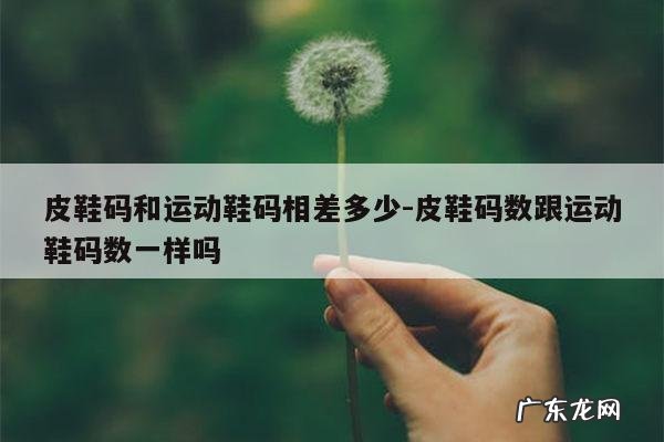 皮鞋码和运动鞋码相差多少-皮鞋码数跟运动鞋码数一样吗