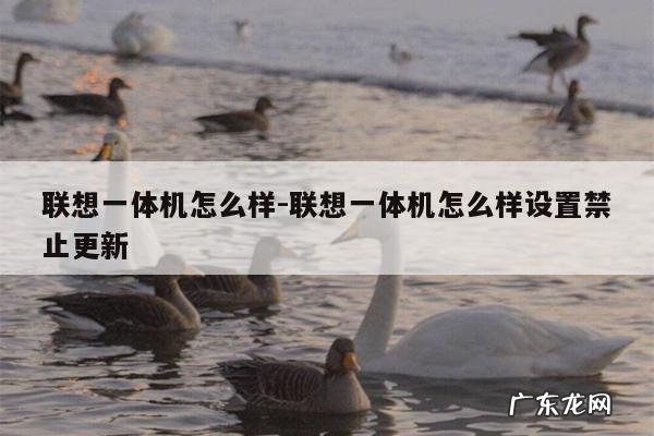联想一体机怎么样-联想一体机怎么样设置禁止更新
