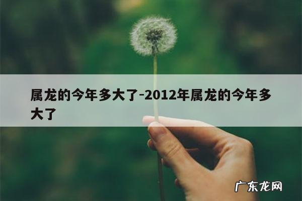 属龙的今年多大了-2012年属龙的今年多大了