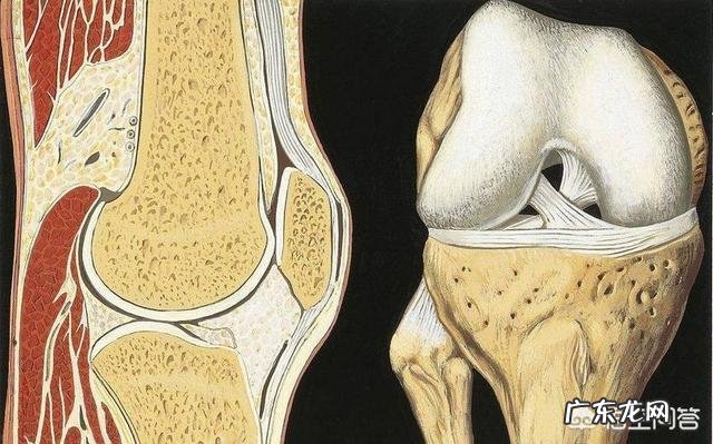 膝盖不好的人应该怎么减掉肚子上的赘肉