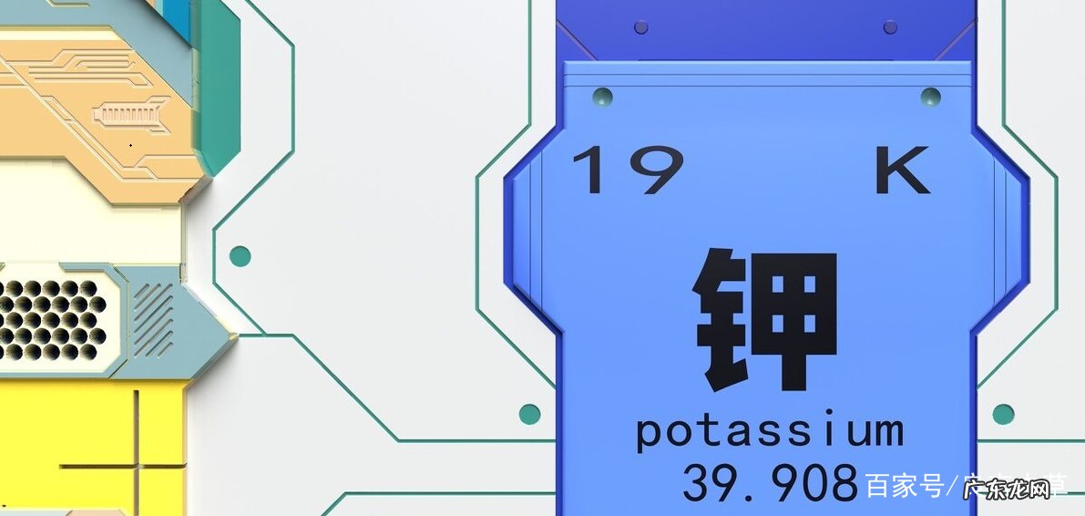 减肥者须知,十大“刮油”食物有哪些呢