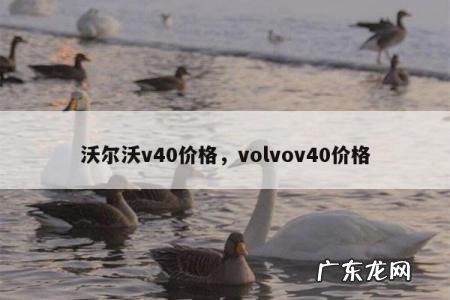 沃尔沃v40价格,volvov40价格