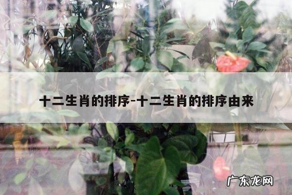 十二生肖的排序-十二生肖的排序由来