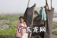 印度人既不吃猪肉,也不吃牛肉,那他们吃什么肉?都吃素?