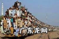 印度人既不吃猪肉,也不吃牛肉,那他们吃什么肉?都吃素?