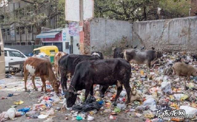 印度人既不吃猪肉，也不吃牛肉，那他们吃什么肉？都吃素？