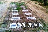 印度人既不吃猪肉,也不吃牛肉,那他们吃什么肉?都吃素?