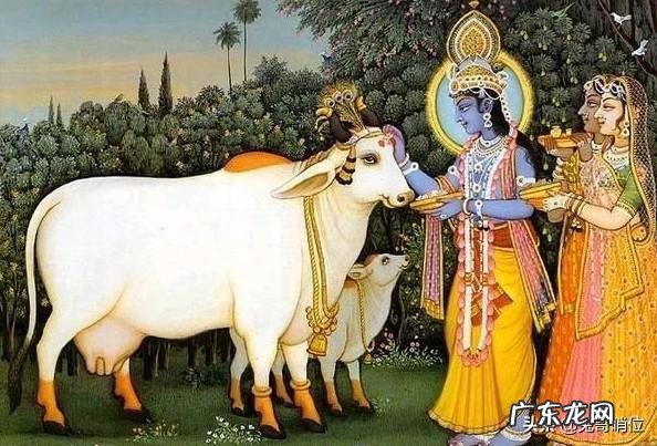 印度人既不吃猪肉,也不吃牛肉,那他们吃什么肉?都吃素?