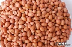 煮熟了的花生，还有油吗油跑到哪里去了