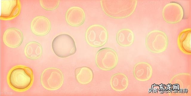 脱脂、低脂、全脂牛奶，哪个最有利于减肥