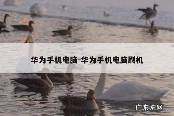 华为手机电脑-华为手机电脑刷机