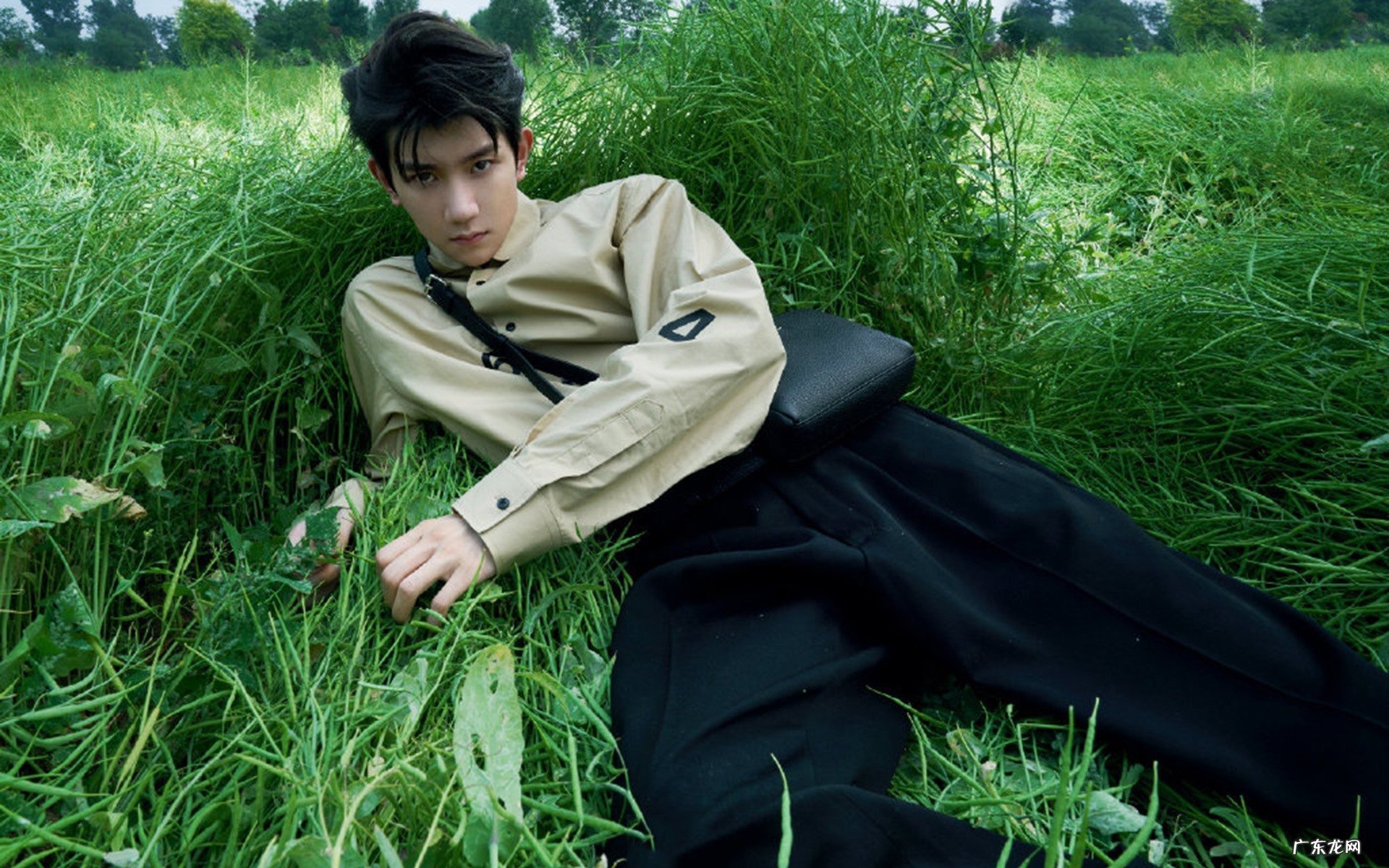 红豆山楂枣绿豆减肥怎么样