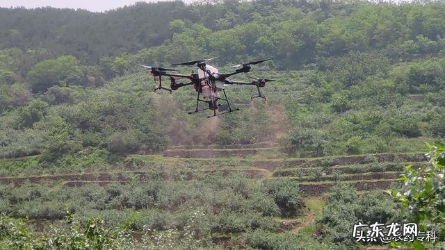 19款黑蜘蛛和20款黑蜘蛛有啥区别