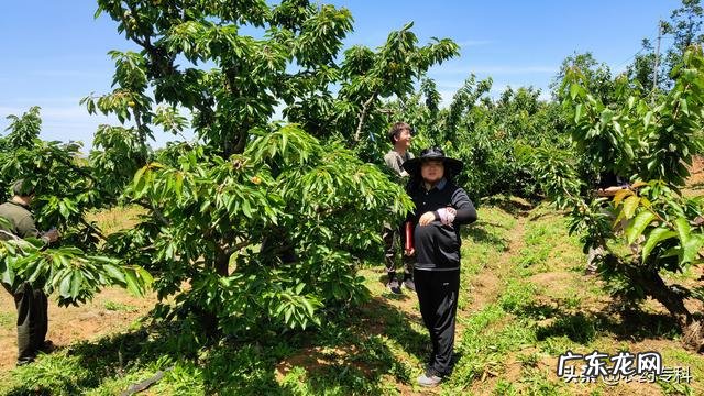 19款黑蜘蛛和20款黑蜘蛛有啥区别