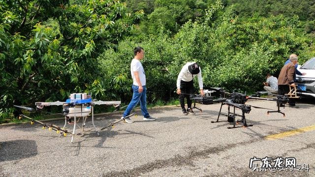 19款黑蜘蛛和20款黑蜘蛛有啥区别