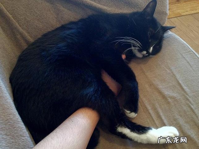 幼儿园应培养幼儿哪些良好的行为习惯?