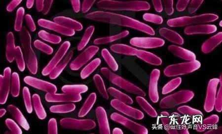 病毒存在的zhongji 目标是什么?