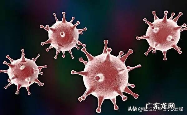 病毒存在的zhongji	目标是什么?