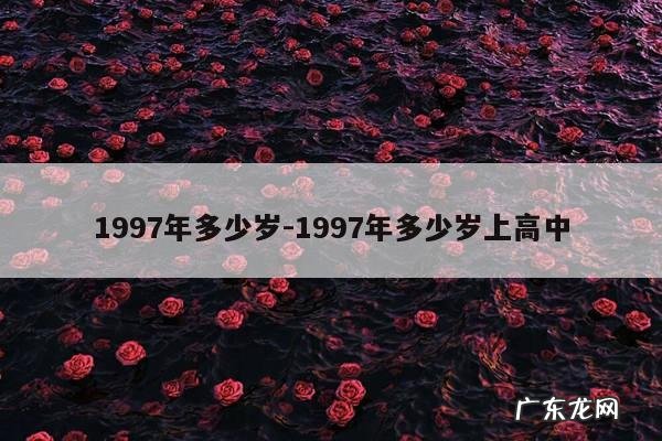 1997年多少岁-1997年多少岁上高中
