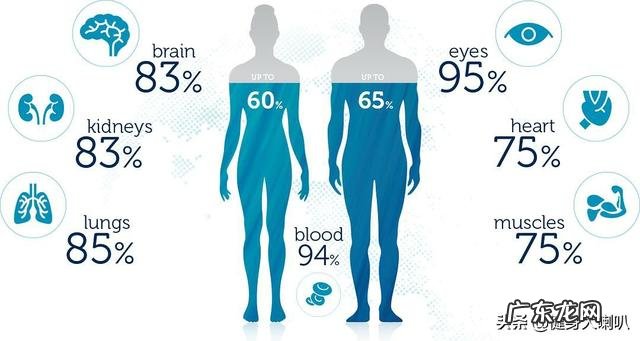 减肥期间是应该多喝水还是少喝水