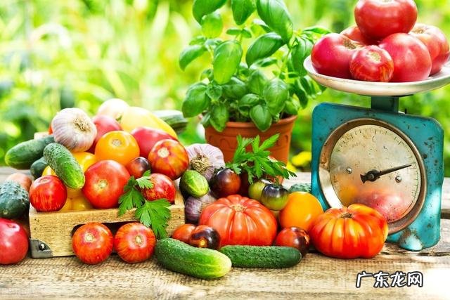 肠胃不好的瘦子如何在一个月里快速增肥