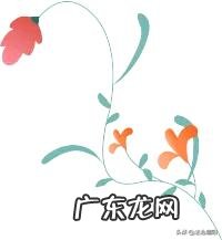 “网红减肥药”里暗藏玄机，这些东西“毒”到你想不到！