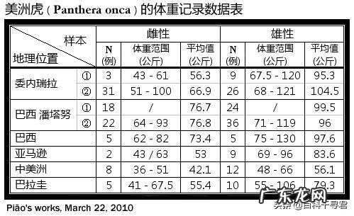狮子、老虎、猎豹哪个更厉害？为什么？