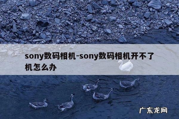 sony数码相机-sony数码相机开不了机怎么办