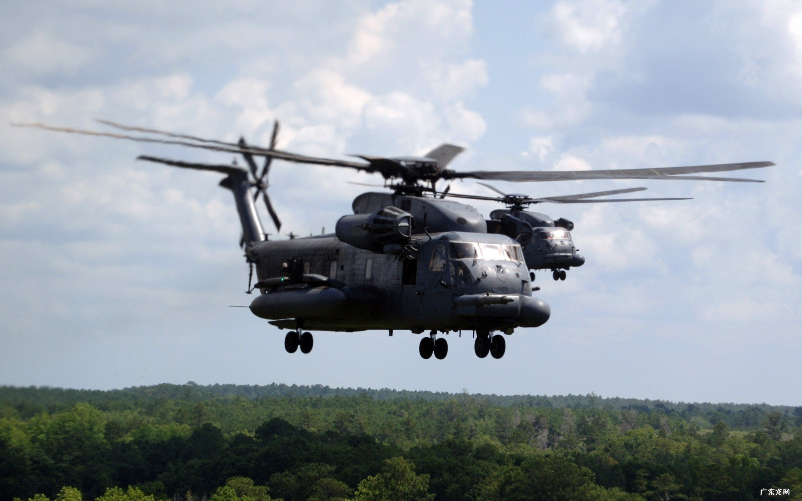 极纤绿白金3D固体饮料能减肥吗成分有金针菇,绿咖啡豆,白芸豆