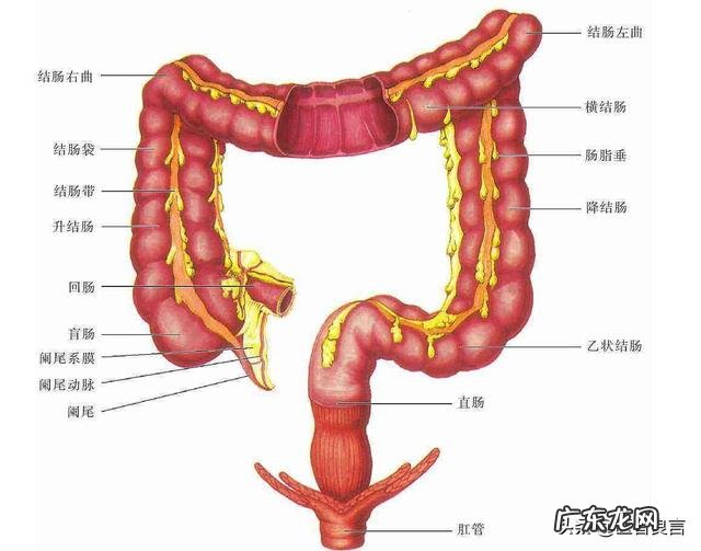 揉腹在手法上有什么讲究?