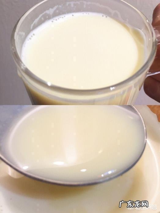 沉迷KFC的御用豆浆,为什么这么好喝