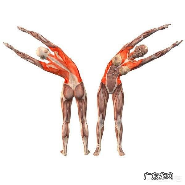 足球世界杯为什么会有巨大的吸引力